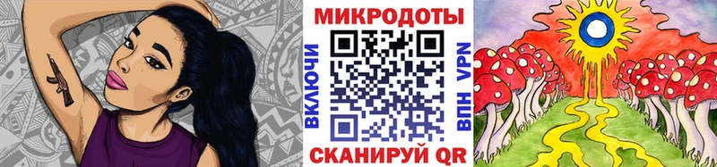 Галлюциногенные грибы Psilocybine cubensis  OMG ONION  Черепаново 